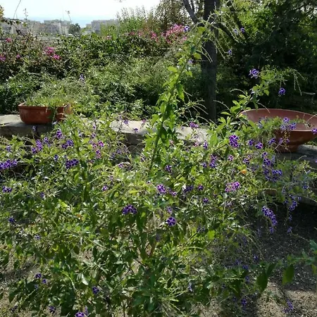 Casajack Bed & Breakfast Pozzuoli